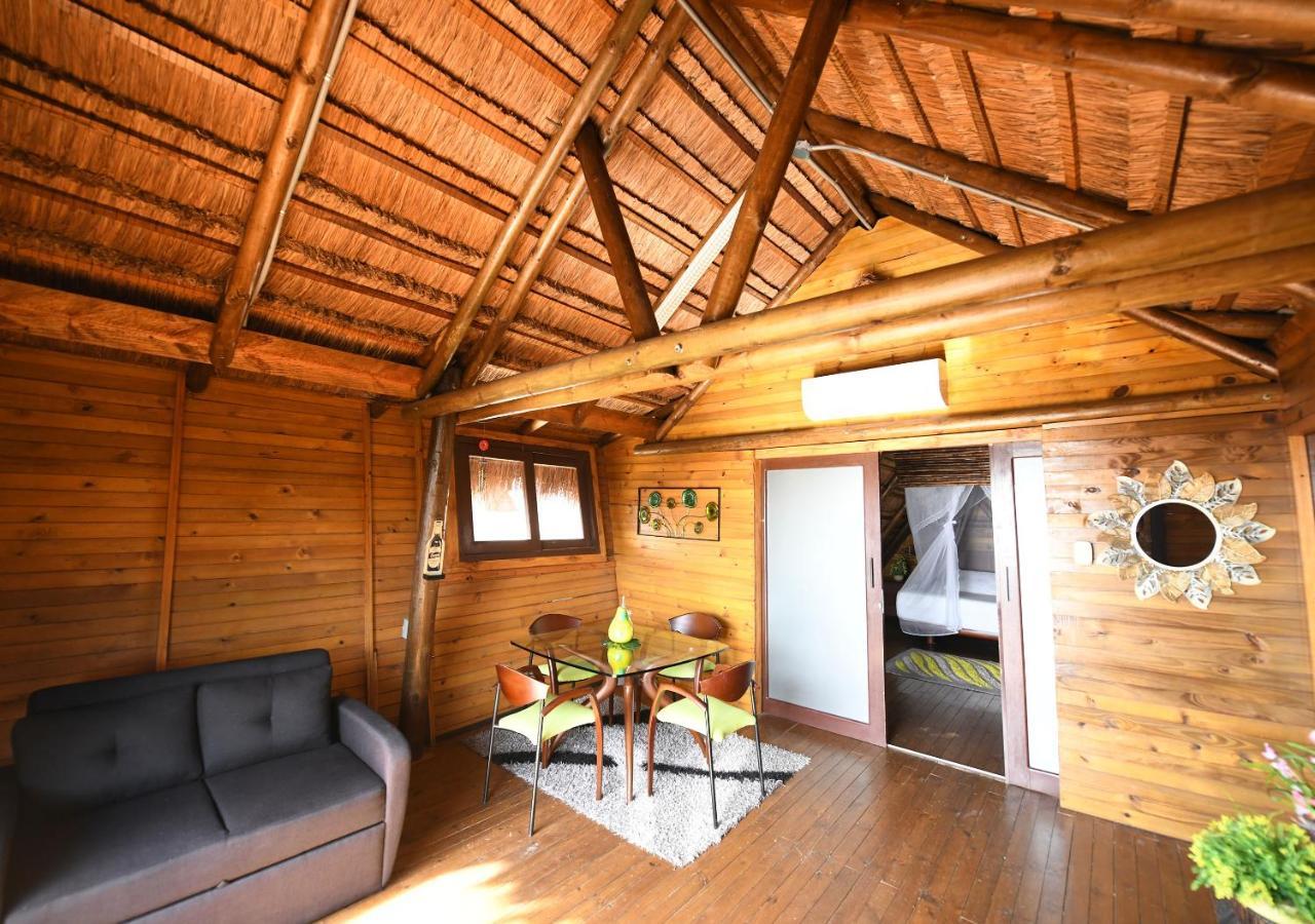 Imagine Beach Altamira  Room photo