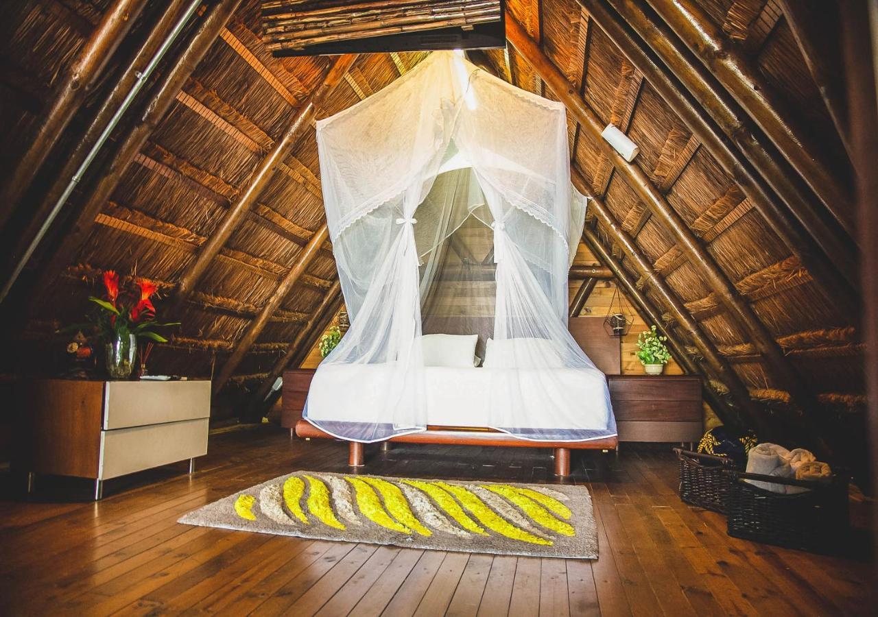 Imagine Beach Altamira  Room photo